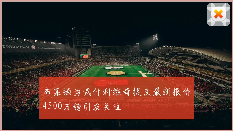 布莱顿为武什科维奇提交最新报价4500万镑引发关注