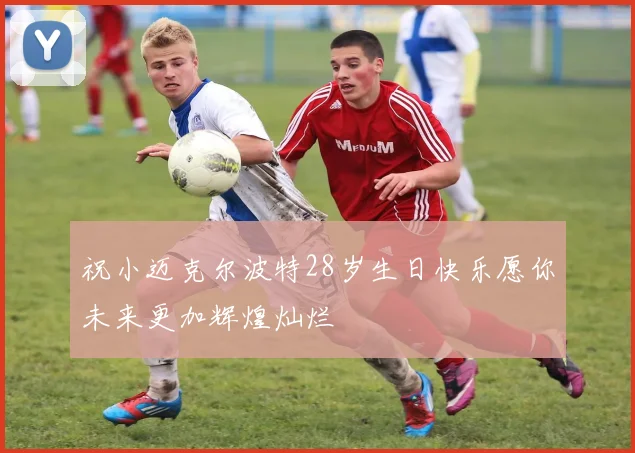 祝小迈克尔波特28岁生日快乐愿你未来更加辉煌灿烂