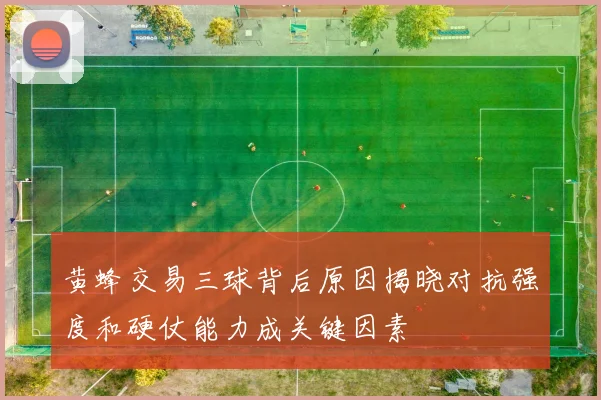 黄蜂交易三球背后原因揭晓对抗强度和硬仗能力成关键因素