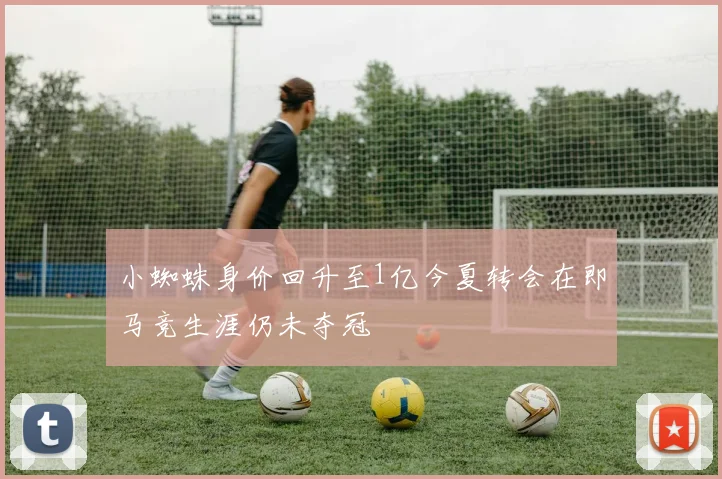 小蜘蛛身价回升至1亿今夏转会在即马竞生涯仍未夺冠