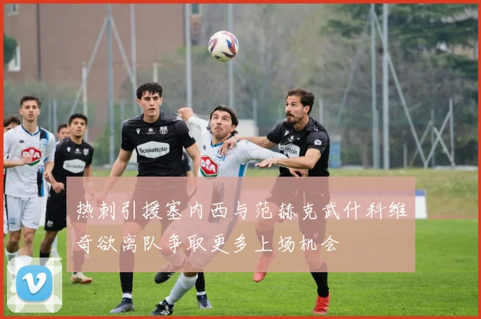 热刺引援塞内西与范赫克武什科维奇欲离队争取更多上场机会